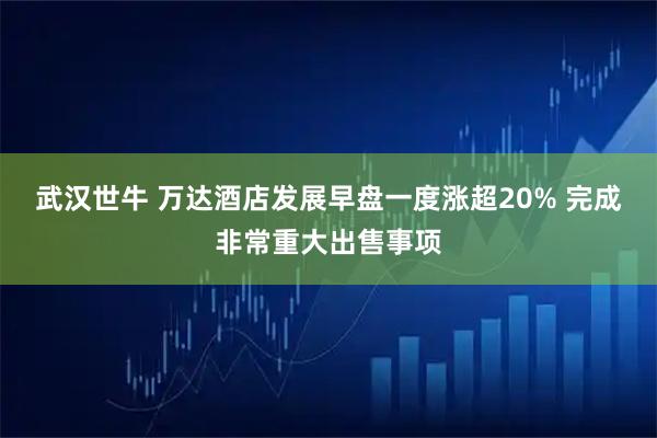 武汉世牛 万达酒店发展早盘一度涨超20% 完成非常重大出售事项