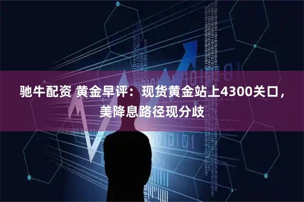 驰牛配资 黄金早评：现货黄金站上4300关口，美降息路径现分歧
